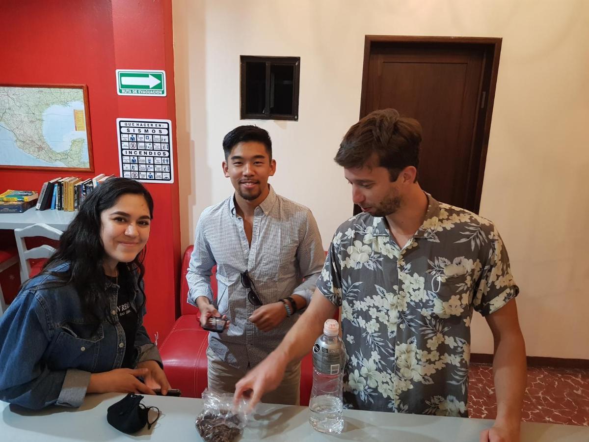 Hostal De Las Americas Oaxaca Экстерьер фото