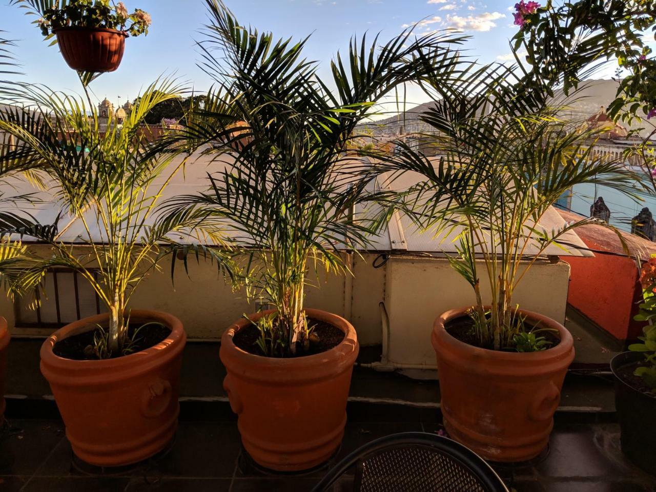 Hostal De Las Americas Oaxaca Экстерьер фото