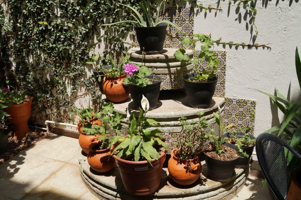 Hostal De Las Americas Oaxaca Экстерьер фото